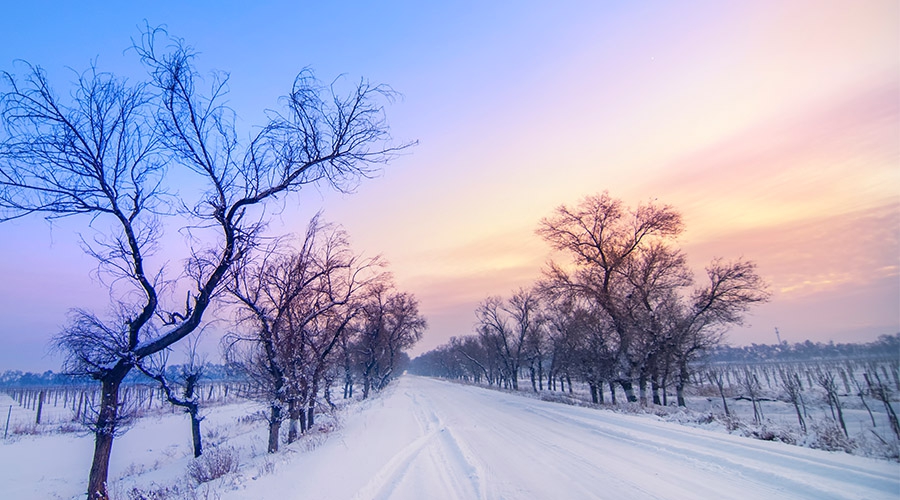 冰雪盛景 · 北疆環(huán)線7日自駕